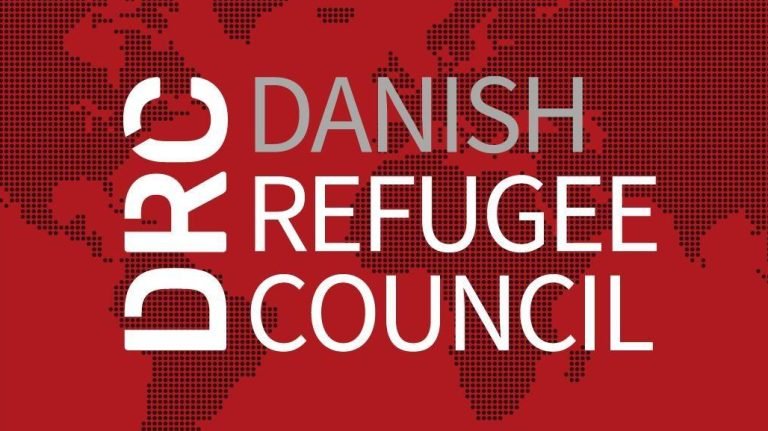 Protection Team Leader, DRC